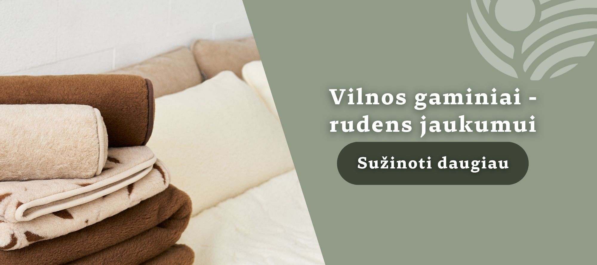 Akcijos